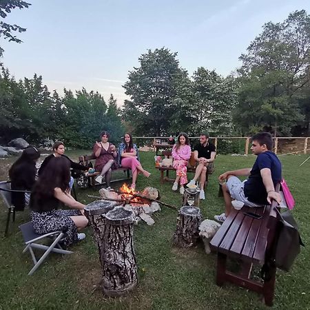 Hotel Camp Oaza,Lipa Cetinje Exterior foto